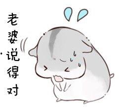 老婆爱我表情包