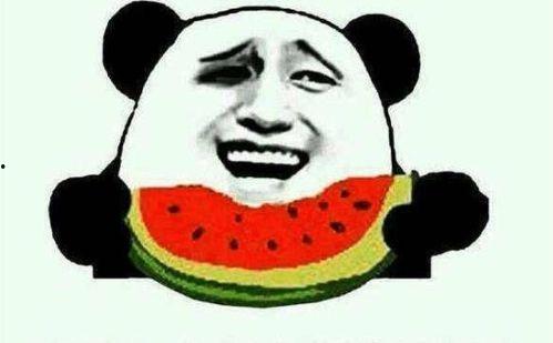 刘二豆娱乐吃瓜君,揭秘娱乐圈幕后故事